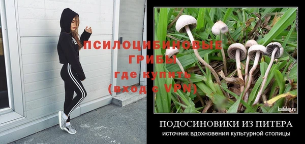 mix Сосновоборск