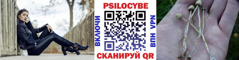 даркнет сайт  MEGA зеркало  Псилоцибиновые грибы Psilocybe  Орск 