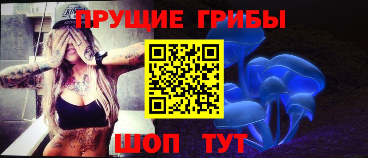 Псилоцибиновые грибы Psilocybe  Орск 